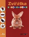 Zvtka v obrzcch - 