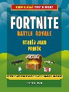Fortnite Battle Royale: Stavj jako profk! - Rich Jason R.