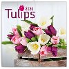 Kalend poznmkov 2020 - Tulipny, 30  30 cm - Presco