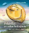 Pohdky o vzducholodch - Martin Rosocha