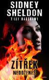 Ztek nedoene - Sidney Sheldon, Tilly Bagshawe