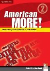 American More! Level 2 Extra Practice Book - Puchta Herbert