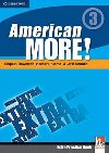 American More! Level 3 Extra Practice Book - Puchta Herbert