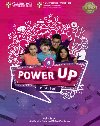 Power Up Level 5 Pupils Book - Sage Colin