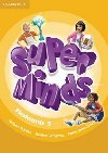 Super Minds Level 5 Flashcards (Pack of 93) - Puchta Herbert, Gerngross Gnter