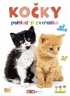 Koky - Pohla si zvtko - Infoa