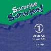 Surprise Surprise 1 Audio CD - Reilly Vanessa