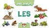 Les - Oto a najdi - Infoa