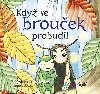 Kdy se brouek probudil - Veronika Kratochvlov; Jaroslava upov