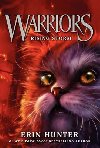 Warriors 4 : Rising Storm - Hunter Erin