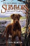 Survivors: The Gathering Darkness: The Exile`s Journey - Hunter Erin