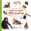 Mch prvnch 100 zvat - Svojtka