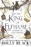 How the King of Elfhame Learned to Hate Stories (The Folk of the Air series) - Black Holly