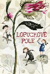Lopuchov pole - Katarzyna Ryrychov