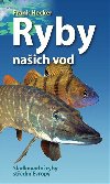 Ryby naich vod - Sladkovodn ryby stedn Evropy - Hecker Frank