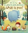 Lift-The-Flap Very First Questions & Answers : What is Poo? - Daynes Katie