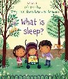 What is Sleep? - Daynes Katie
