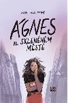 gnes ve sklennm mst - Ivana Peroutkov