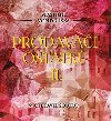 Prodavai ostatk II. - Audiokniha na CD - Pavel Soukup, Vlastimil Vondruka