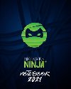 Information Ninja: Notebook 2021 - zelen - Kristina ern, Jan ern