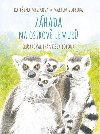 Zhada na ostrov lemur - Kateina Miskov; Martin Vobruba