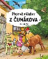astn pbhy z umkova - Salaquardov Jiina