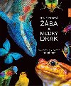 Rajatov ba a modr drak - Andrea Khrsenov