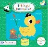 Stkac kachnika - Kay Vincent