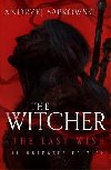 The Last Wish : Introducing the Witcher Illustrated - Sapkowski Andrzej
