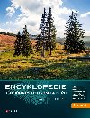 Encyklopedie jehlinatch strom a ke - Karel Hieke