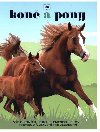 Kon a pony - Ve o konch, jejich plemenech, chovu, vcviku a vybaven pro jezdectv - Slovart