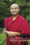 Radost ze ivota - tst jako vdeck disciplna - Yongey Mingyur Rinpohe