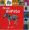 Prvn zvata - Svojtka