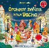 Orchestr zvtek hraje Bacha - Zvukov kniha - Sam Taplin