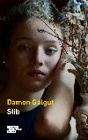 Slib - Damon Galgut