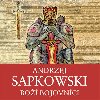 Bo bojovnci - Andrzej Sapkowski
