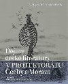 Djiny esk literatury v protektortu echy a Morava - Pavel Janouek,kol.