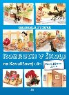 Rozruch v kole na Kavuliovej ulici - Gabriela Futov