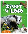 ivot v lese SK - Wojciech Gil