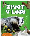 ivot v lese - Wojciech Gil