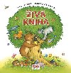 iv kniha - Zvuky zvat, oknka s pekvapenm - Infoa