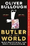 Butler to the World: How Britain became the servant of tycoons, tax dodgers, kleptocrats and criminals - Bullough Oliver
