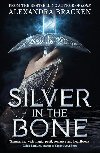 Silver in the Bone: Book 1 - Brackenov Alexandra