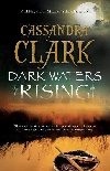 Dark Waters Rising - Clark Cassandra