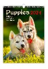 Kalend nstnn 2024 - Puppies - Helma