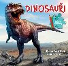 Dinosaui - Knka se skldakami a omalovnkami - Bookmedia