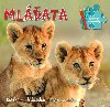 Mlata - Knka se skldakami a omalovnkami - Bookmedia