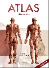 Atlas lidskho tla - Jordi Vigu