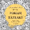 Pokoje zzrak - Vstupte do knihy kouzelnch omalovnek - Johanna Basfordov