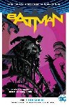 Batman Vol. 2: I Am Suicide (Rebirth) - King Tom